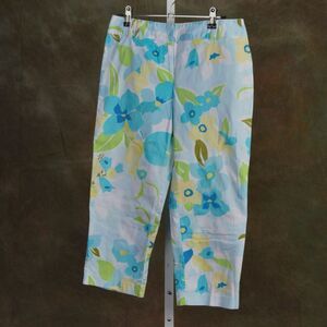 ​Ann Taylor Loft Capri Cotton Ribbed Floral Cropped Pant 4P